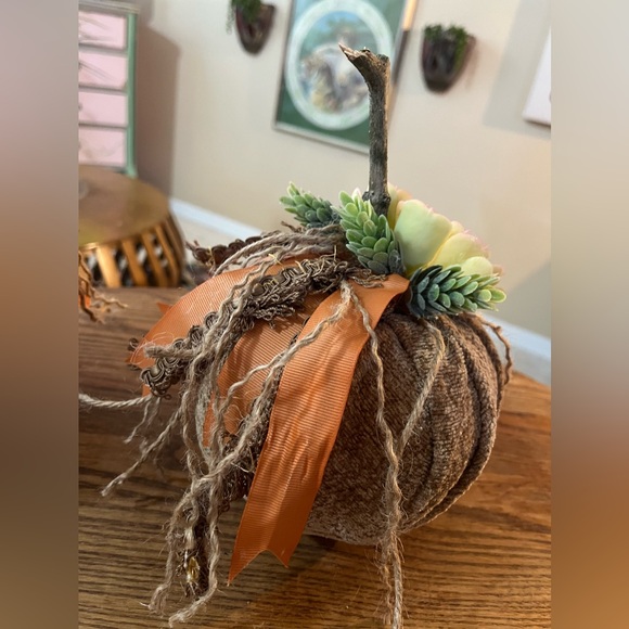 Set of 2 Handmade Succulent Chenille Fall Pumpkins - Fabric Fall Pumpkins - Boho - Picture 9 of 14